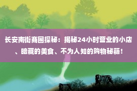 长安南街商圈探秘：揭秘24小时营业的小店、暗藏的美食、不为人知的购物秘籍！