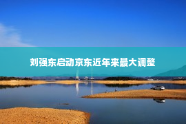 刘强东启动京东近年来最大调整