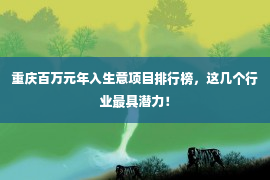 重庆百万元年入生意项目排行榜，这几个行业最具潜力！