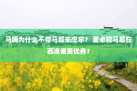 马腾为什么不带马超来虎牢？ 董卓和马超在西凉谁更优秀？