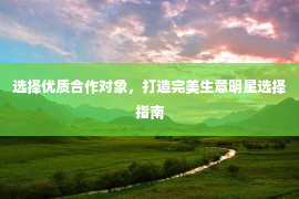 选择优质合作对象，打造完美生意明星选择指南