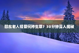 邵东老人经营何种生意？30分钟深入揭秘