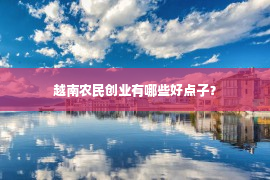 越南农民创业有哪些好点子？