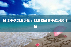 负债小伙创业计划：打造自己的小型网络平台