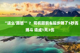 “这么‘路怒’”？ 司机因前车起步晚了5秒而搏斗 造成1死3伤