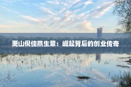 萧山倪佳燕生意：崛起背后的创业传奇