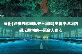 头衔(这样的韩国队并不黑暗)主将冲进场内怒斥裁判的一幕令人痛心