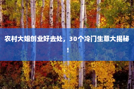 农村大姐创业好去处，30个冷门生意大揭秘！