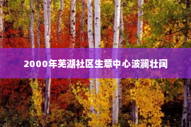 2000年芜湖社区生意中心波澜壮阔