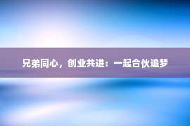 兄弟同心，创业共进：一起合伙追梦