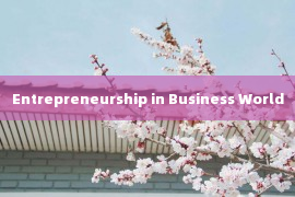 Entrepreneurship in Business World