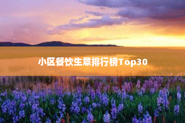 小区餐饮生意排行榜Top30