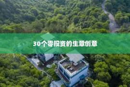 30个零投资的生意创意