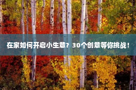 在家如何开启小生意？30个创意等你挑战！