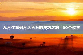 从月生意到月入百万的成功之路 - 30个汉字