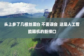 头上多了几根丝蛋白 不要误会  这是人工智能脑机的新接口