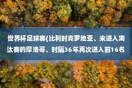 世界杯足球赛(比利时克罗地亚、未进入淘汰赛的摩洛哥、时隔36年再次进入前16名