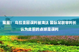 冤案！ 乌拉圭因误判被淘汰 国际足联审判长认为此前的点球是误判