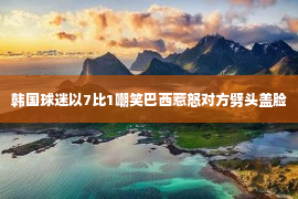 韩国球迷以7比1嘲笑巴西惹怒对方劈头盖脸