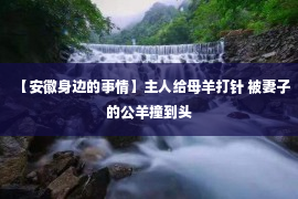 【安徽身边的事情】主人给母羊打针 被妻子的公羊撞到头