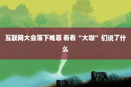 互联网大会落下帷幕 看看“大咖”们说了什么