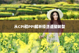 从CPI和PPI解析经济调整转型