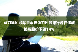 富力集团联席董事长张力因涉嫌行贿在伦敦被捕股价下跌14%