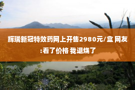 辉瑞新冠特效药网上开售2980元/盒 网友:看了价格 我退烧了