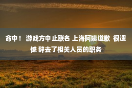 命中！ 游戏方中止联名 上海阿姨道歉  很遗憾 辞去了相关人员的职务