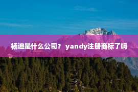 杨迪是什么公司？ yandy注册商标了吗