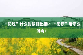 “阳过”什么时候能出港？ “阳康”后怎么消毒？