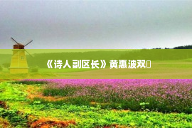 《诗人副区长》黄惠波双�