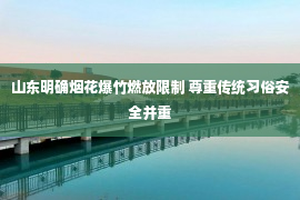 山东明确烟花爆竹燃放限制 尊重传统习俗安全并重