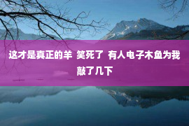 这才是真正的羊  笑死了  有人电子木鱼为我敲了几下