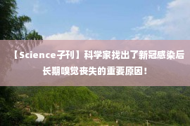 【Science子刊】科学家找出了新冠感染后长期嗅觉丧失的重要原因！