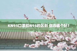 KN95口罩和N95的区别 你选哪个好？