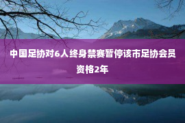 中国足协对6人终身禁赛暂停该市足协会员资格2年