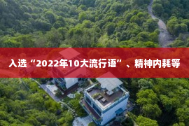 入选“2022年10大流行语”、精神内耗等