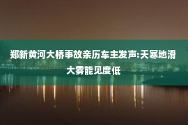 郑新黄河大桥事故亲历车主发声:天寒地滑 大雾能见度低