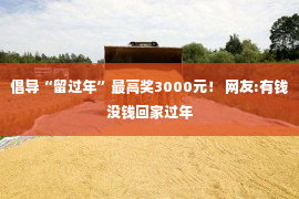 倡导“留过年”最高奖3000元！ 网友:有钱没钱回家过年