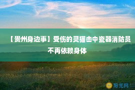 【贵州身边事】受伤的灵猫击中瓷器消防员不再依赖身体