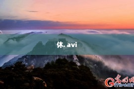 休. avi