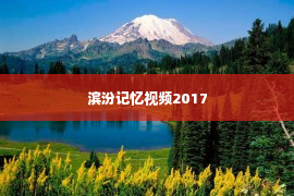 滨汾记忆视频2017