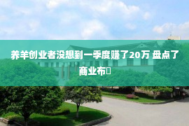 养羊创业者没想到一季度赚了20万 盘点了商业布�