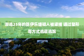 潜逃25年的陈伊乐嫌疑人被逮捕 通过整形等方式逃避逃跑