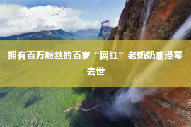 拥有百万粉丝的百岁“网红”老奶奶喻泽琴去世