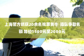 上海警方抓获20余名殡葬黄牛  插队争取名额 加价1500元至2000元