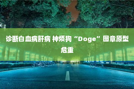 诊断白血病肝病 神烦狗“Doge”图章原型危重