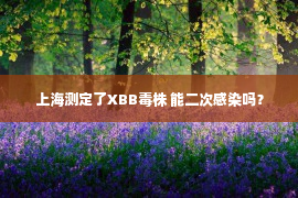 上海测定了XBB毒株 能二次感染吗？