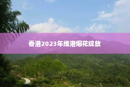 香港2023年维港烟花绽放